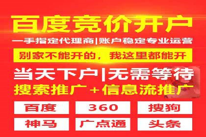 SEM竞价优化技巧分享：成功案例揭秘